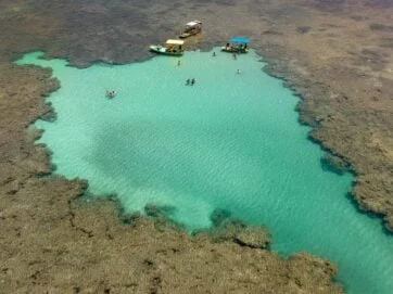 Praia do Patacho - Image 7