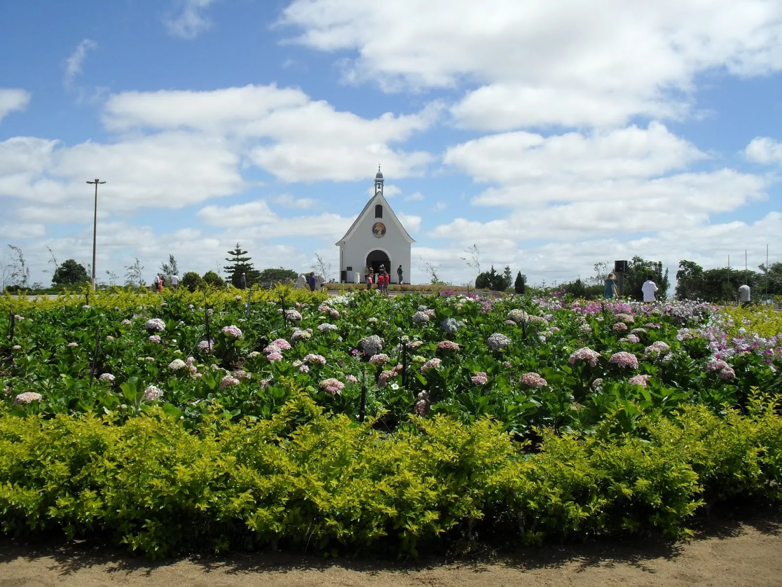 Vínicola em Garanhuns - Imagem 4