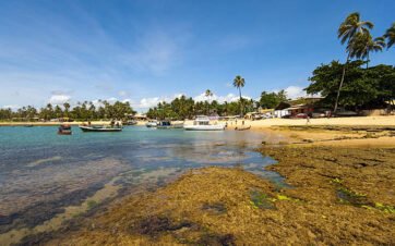 Salvador, Bahia! - Image 2