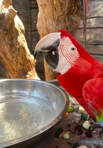 Fim de Semana São José (PE) e Maragogi (AL)!